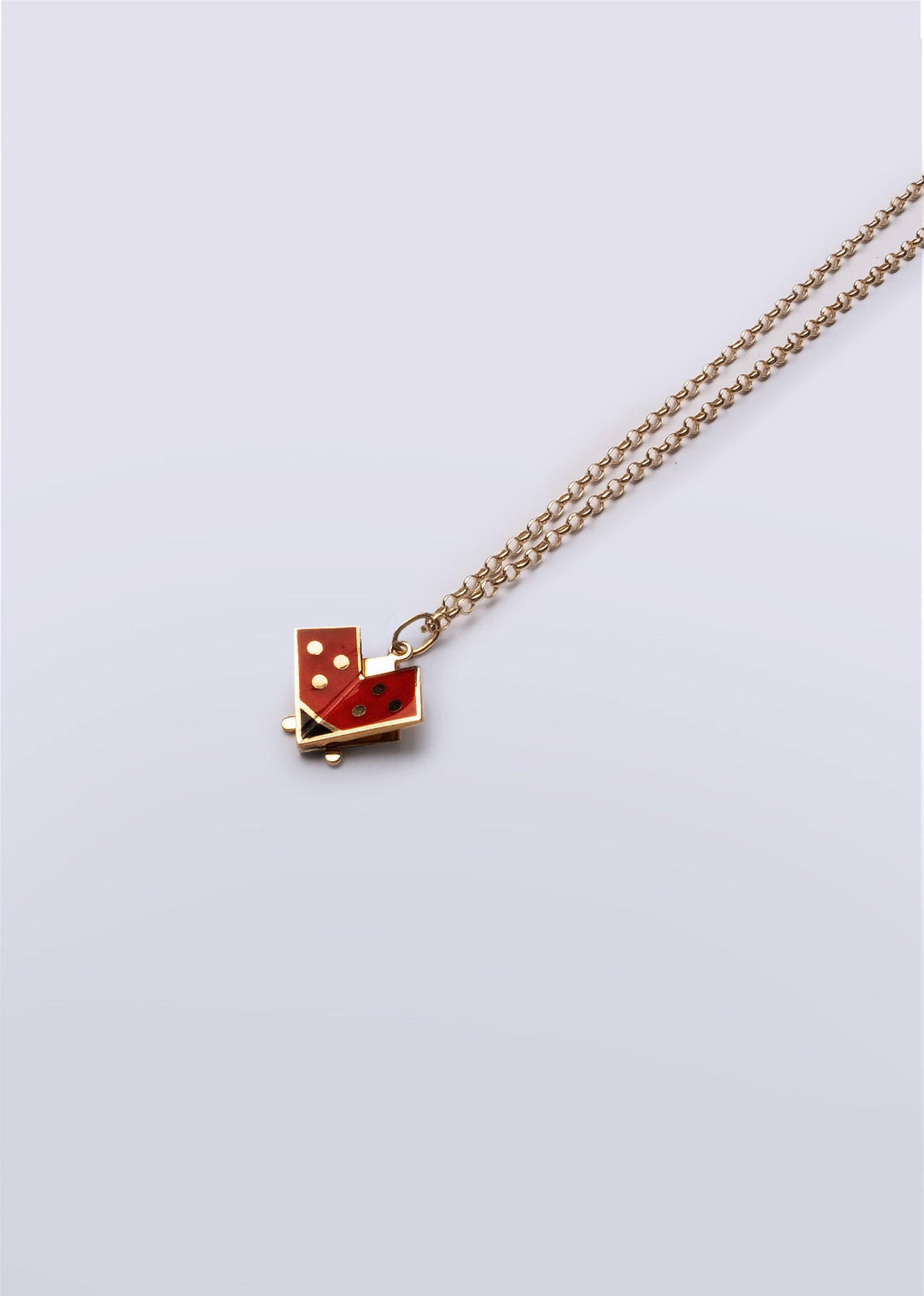Ladybug