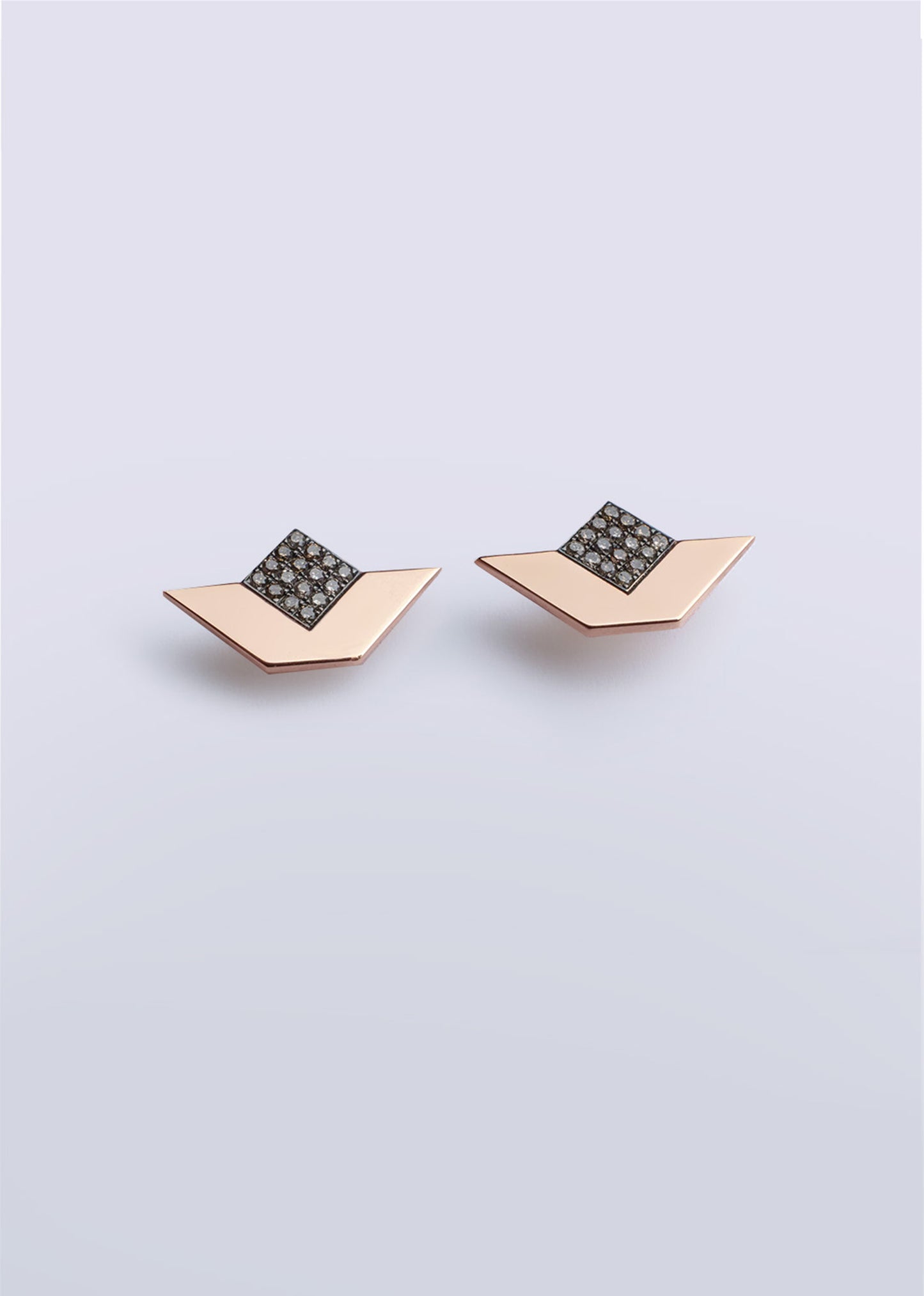 N earrings
